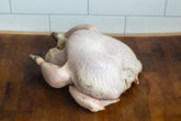 Free Rangle Bronze Whole Turkey