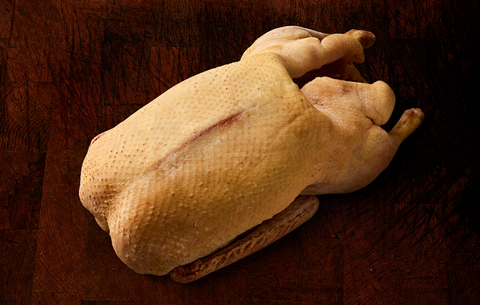 Free Range Goose