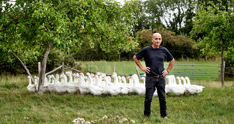 Free Range Goose