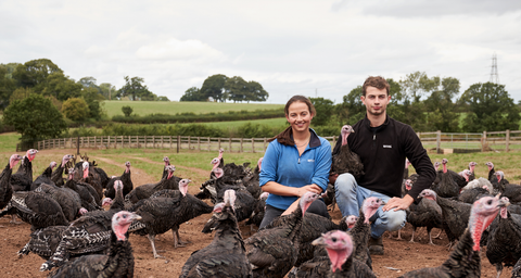Free Rangle Bronze Whole Turkey
